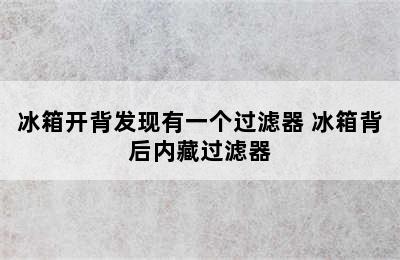 冰箱开背发现有一个过滤器 冰箱背后内藏过滤器